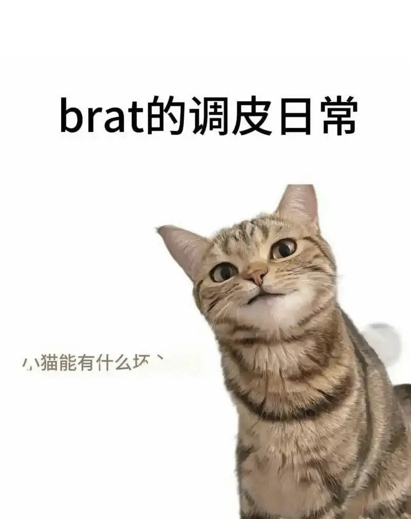 西檬之家-TK是什么意思？字母圈新人BDSM入圈指南