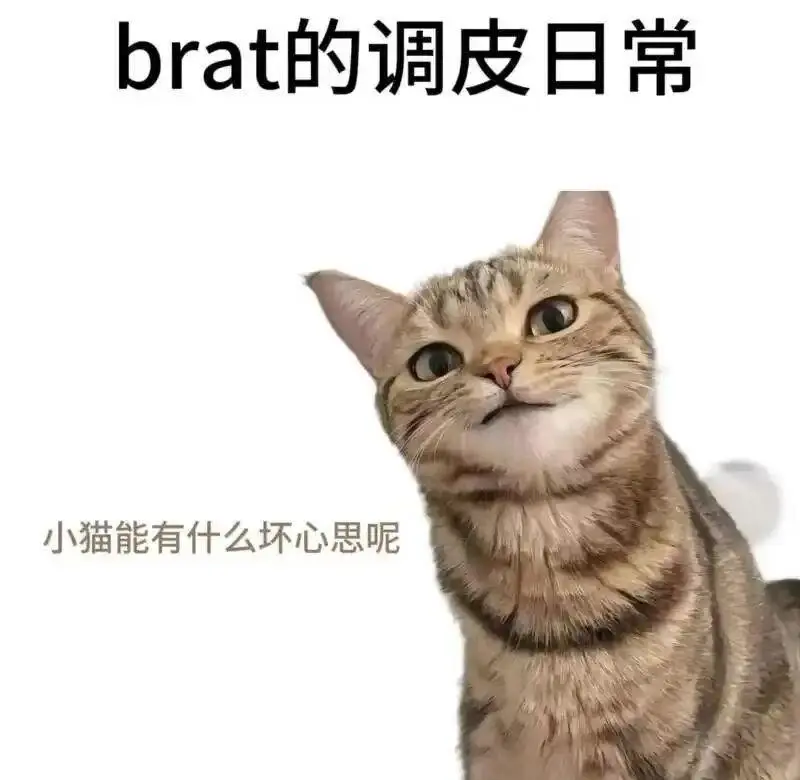 西檬之家-新人指南：BDSM中DS、M、S、Dom、Sub等字母圈术语解析