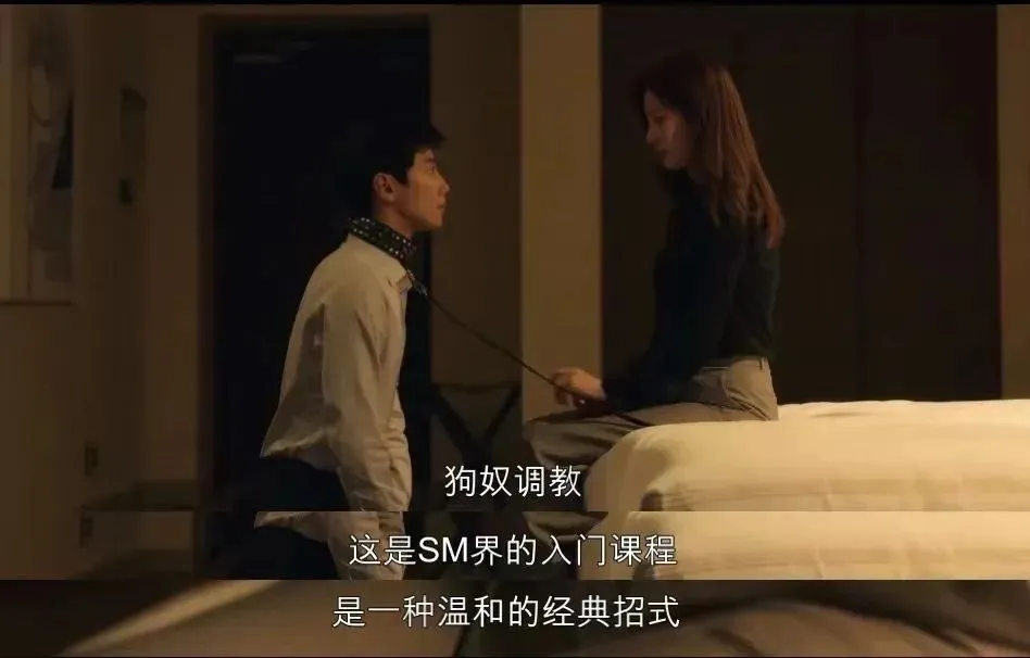 【西檬之家】BDSM核心概念与入门指南