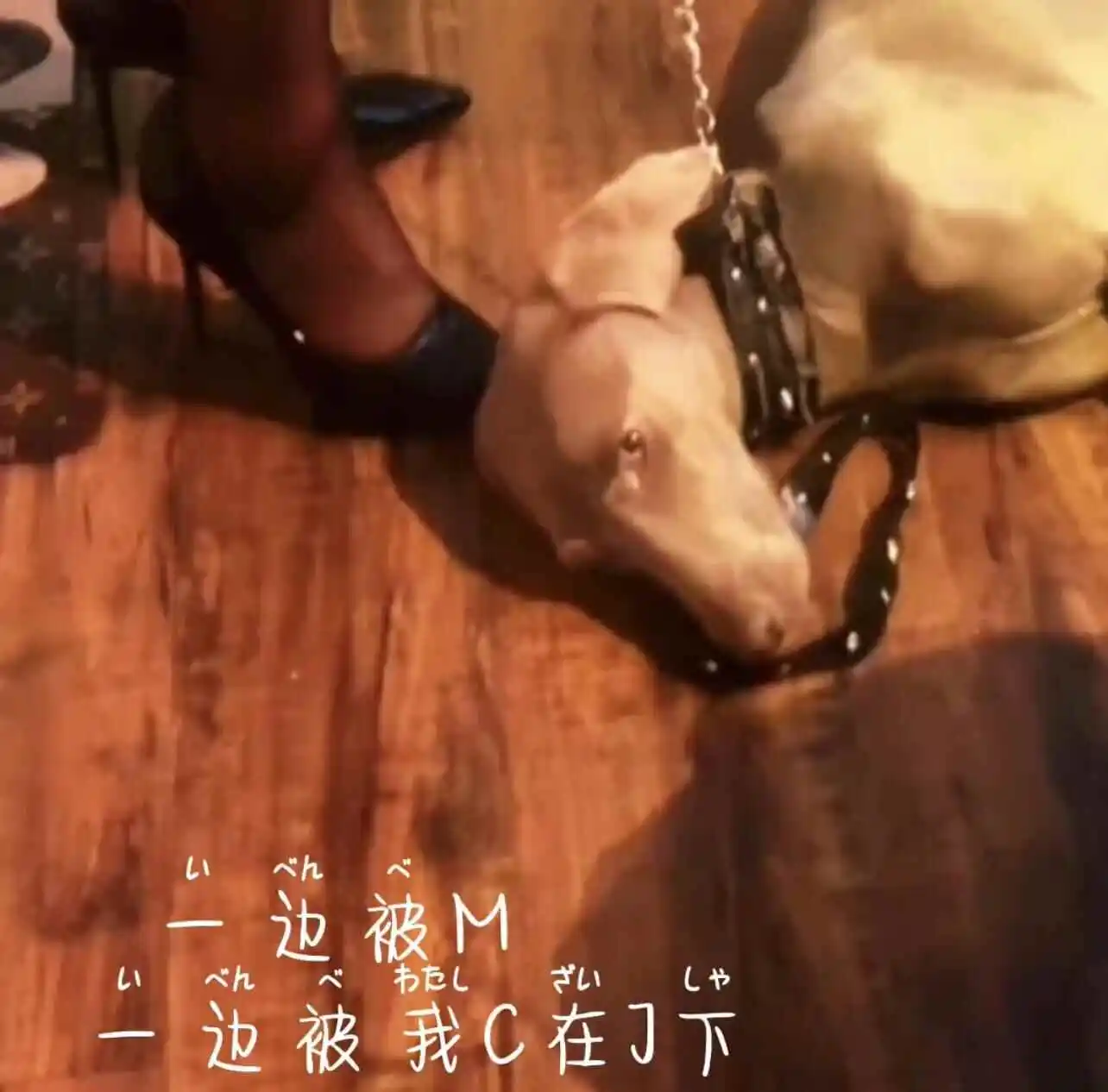 西檬之家-OTK是什么？BDSM跨膝惩戒入门指南
