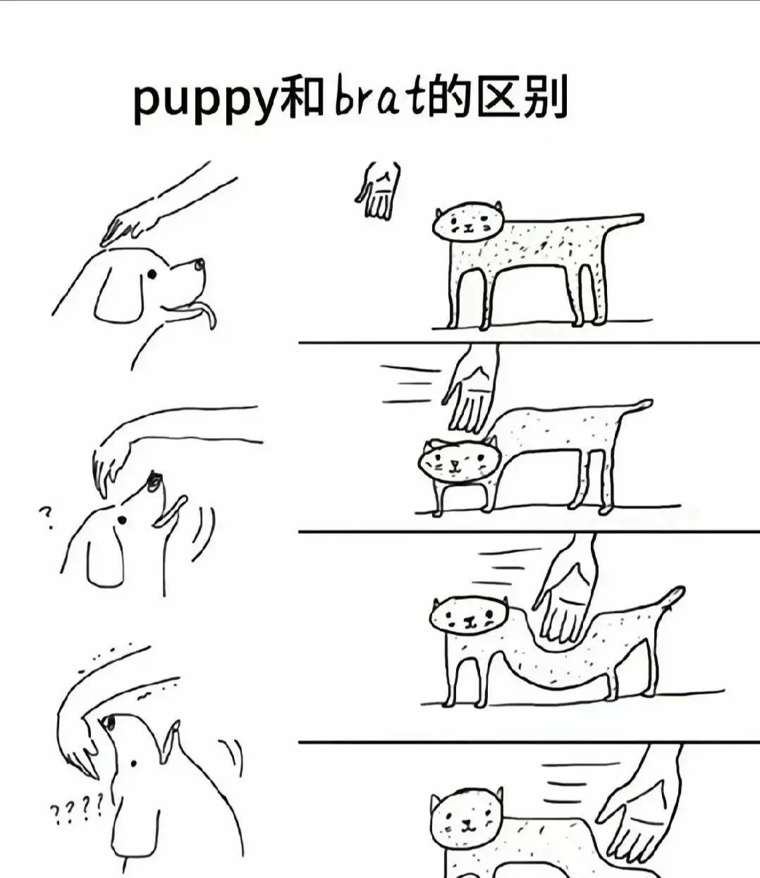【西檬之家】s属性详解：理解BDSM中的Dom与Sub差异