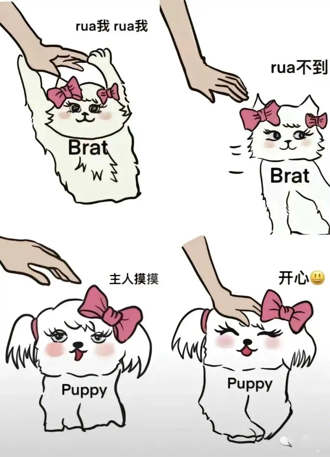 西檬之家-圣水是什么？在字母圈中的应用与注意事项