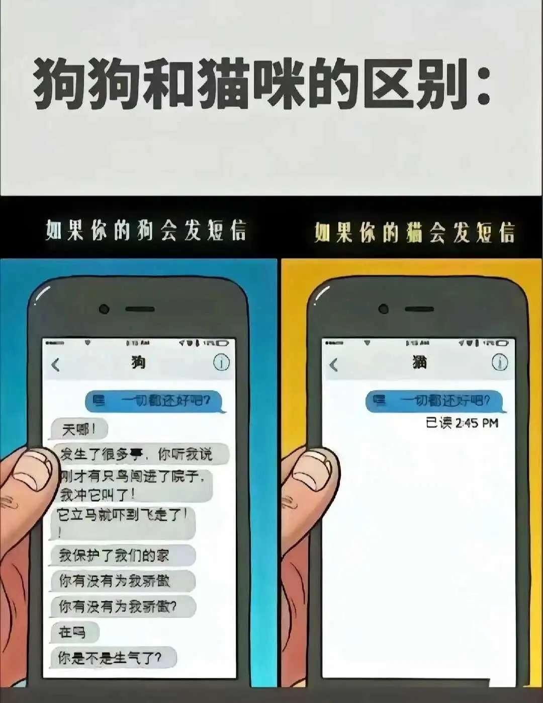 西檬之家-BDSM新人如何入门？字母圈文化指南