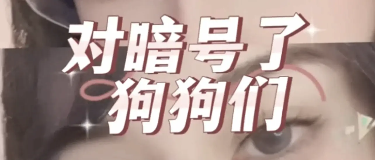 西檬之家-字母圈新人入圈指南：理解BDSM核心术语与基础