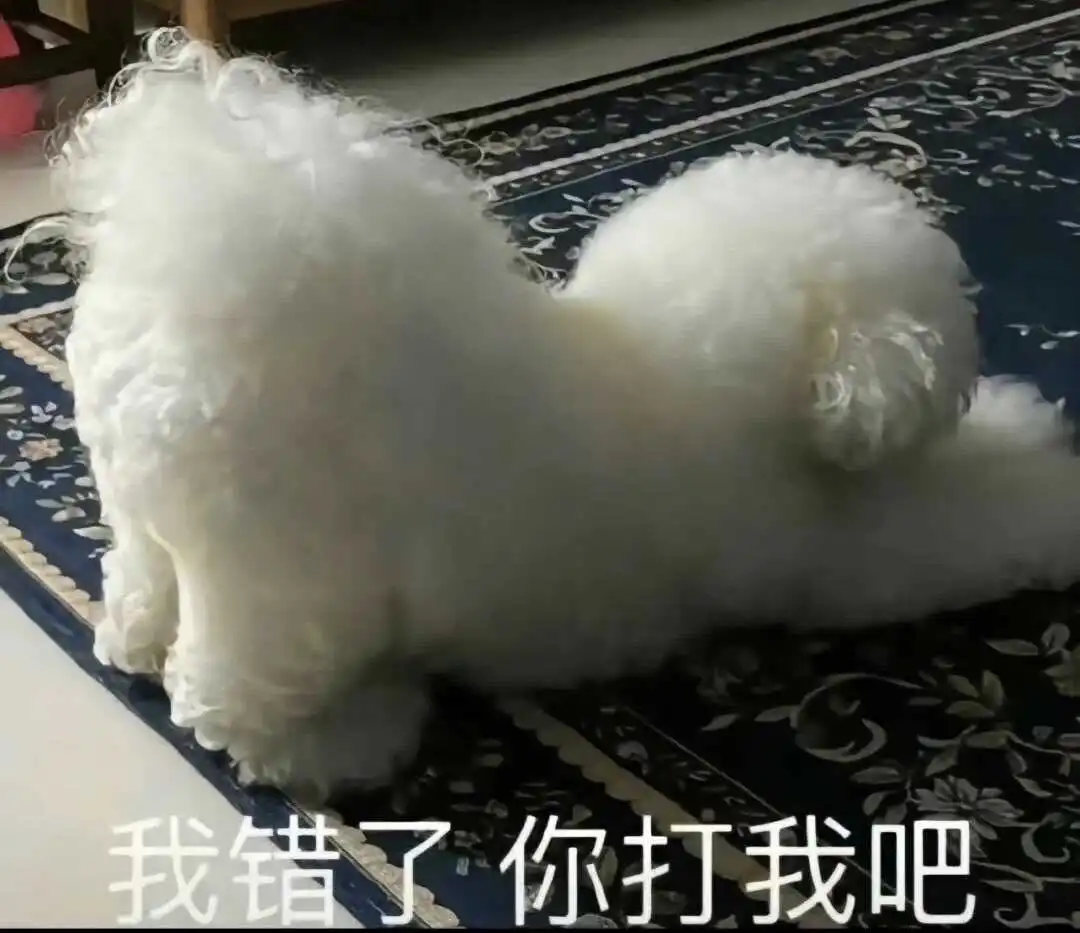 西檬之家-字母圈的K8是什么：猫系角色扮演全解析