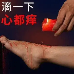 【西檬之家】brat属性解析：字母圈新人的心理定位指南